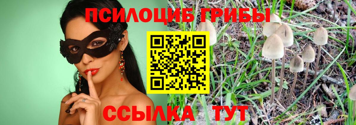 Псилоцибиновые грибы ЛСД Луга